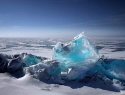 This is the sixth warmest year on record for the planet.
