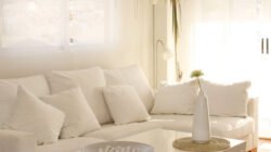 interior-design