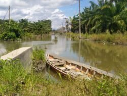 Puluhan Hektare Sawah Terendam di Lutra
