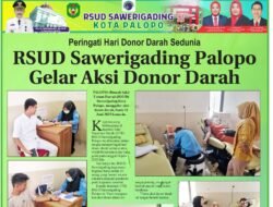 Peringati Hari Donor Darah Sedunia, RSUD Sawerigading Palopo Gelar Aksi Donor Darah
