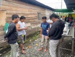 Miras Picu Duel Maut Bersaudara di Luwu