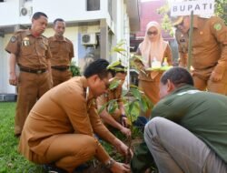 Bupati Luwu Utara Tanam Durian Musang King di Kantor Bupati