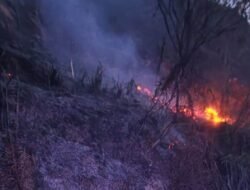 Diduga Akibat Puntung Rokok, Puluhan Hektar Lahan di Battang Terbakar