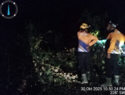 Akses Palopo Menuju Bastem Luwu Tertutup Longsor, Satu Tiang Listrik Tumbang