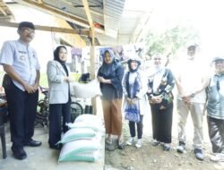 Wali Kota Palopo Serahkan Bantuan Renovasi Pembangunan Masjid Babul Jannah Peta