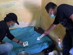 Balita 2 Tahun di Luwu Tewas Dianiaya Pacar Ibunya Pakai Balok Kayu