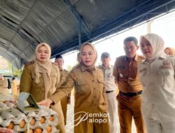 Stabilkan Harga Jelang Nataru, Wali Kota Palopo Pantau GPM