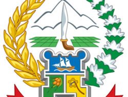 Luwu Raya Penyumbang Investasi Terbesar di Sulsel